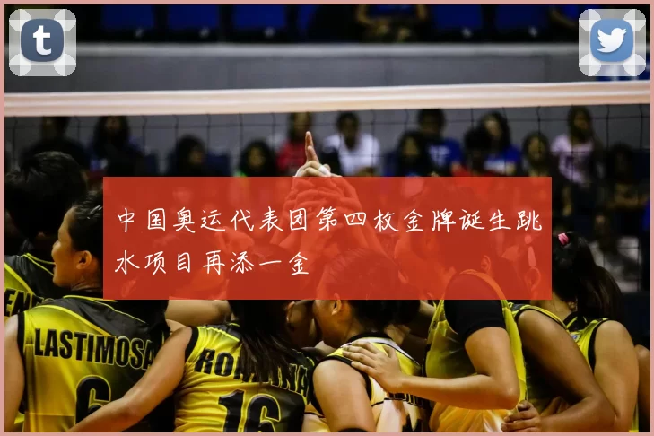 中国奥运代表团第四枚金牌诞生跳水项目再添一金