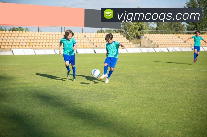 8868体育APP 封面图