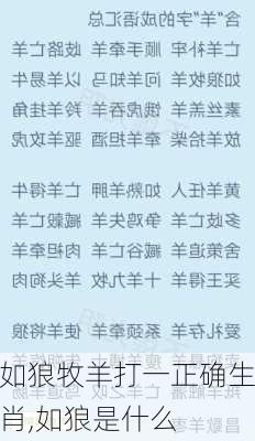 如狼牧羊打一正确生肖,如狼是什么