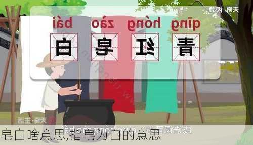 皂白啥意思,指皂为白的意思