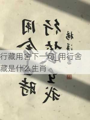 行藏用舍下一句_用行舍藏是什么生肖