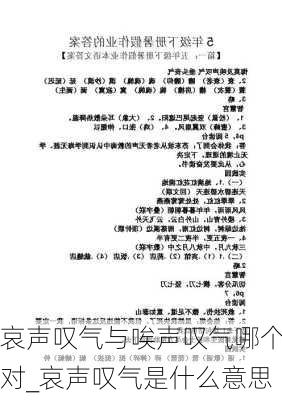 哀声叹气与唉声叹气哪个对_哀声叹气是什么意思