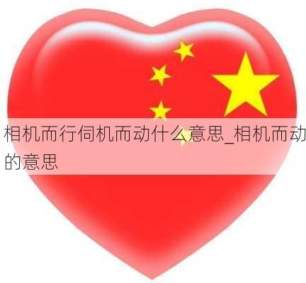 相机而行伺机而动什么意思_相机而动的意思