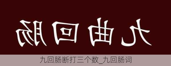 九回肠断打三个数_九回肠词