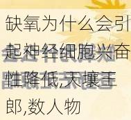 缺氧为什么会引起神经细胞兴奋性降低,天壤王郎,数人物