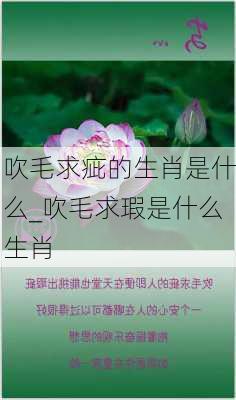 吹毛求疵的生肖是什么_吹毛求瑕是什么生肖