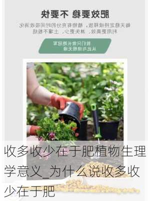 收多收少在于肥植物生理学意义_为什么说收多收少在于肥