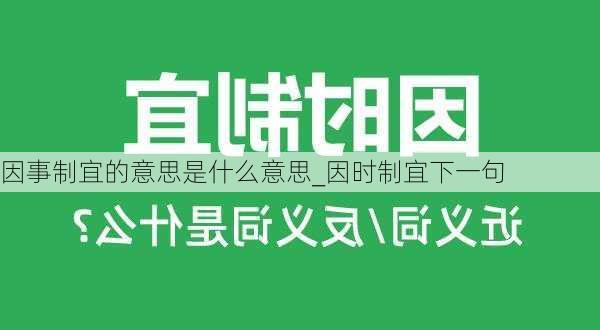 因事制宜的意思是什么意思_因时制宜下一句