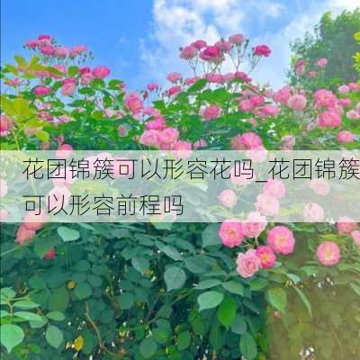 花团锦簇可以形容花吗_花团锦簇可以形容前程吗