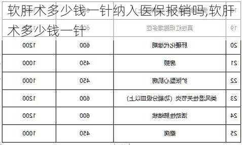 软肝术多少钱一针纳入医保报销吗,软肝术多少钱一针