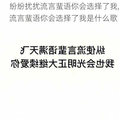 纷纷扰扰流言蜚语你会选择了我,流言蜚语你会选择了我是什么歌