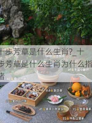 十步芳草是什么生肖?_十步芳草是什么生肖为什么指猪