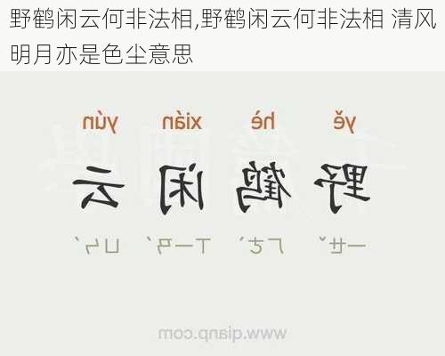 野鹤闲云何非法相,野鹤闲云何非法相 清风明月亦是色尘意思