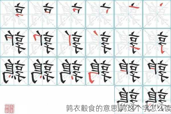 鹑衣鷇食的意思,鹑这个字怎么读