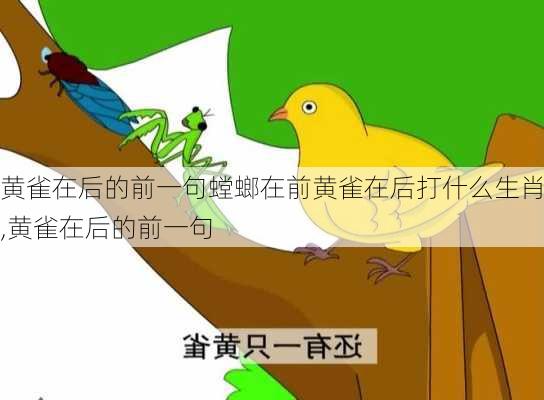 黄雀在后的前一句螳螂在前黄雀在后打什么生肖,黄雀在后的前一句