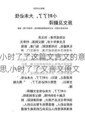 小时了了这篇文言文的意思,小时了了文言文原文