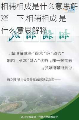 相辅相成是什么意思解释一下,相辅相成 是什么意思解释