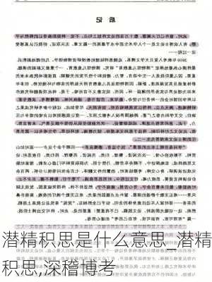 潜精积思是什么意思_潜精积思,深稽博考