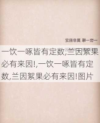 一饮一啄皆有定数,兰因絮果必有来因!,一饮一啄皆有定数,兰因絮果必有来因!图片