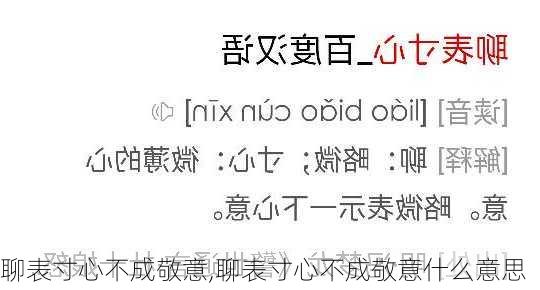 聊表寸心不成敬意,聊表寸心不成敬意什么意思