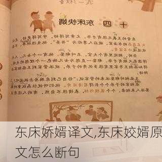 东床娇婿译文,东床姣婿原文怎么断句