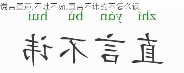 谠言直声,不吐不茹,直言不讳的不怎么读