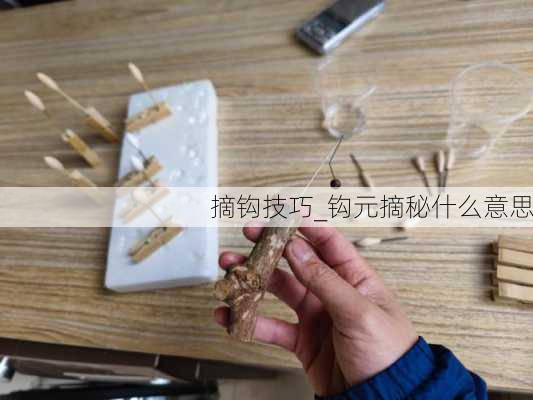 摘钩技巧_钩元摘秘什么意思