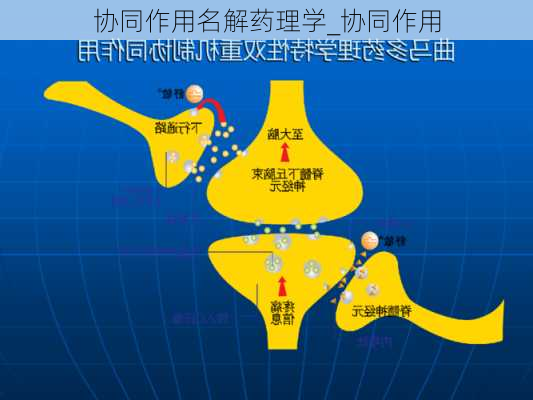 协同作用名解药理学_协同作用