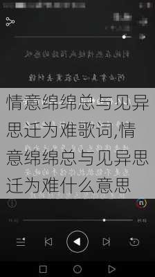 情意绵绵总与见异思迁为难歌词,情意绵绵总与见异思迁为难什么意思