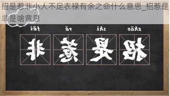 招是惹非小人不足衣禄有余之命什么意思_招惹是非是啥意思