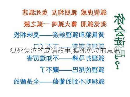 狐死兔泣的成语故事,狐死兔泣的意思