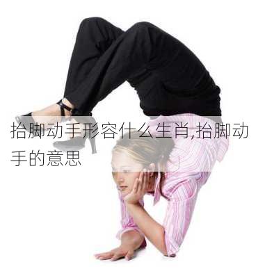 抬脚动手形容什么生肖,抬脚动手的意思