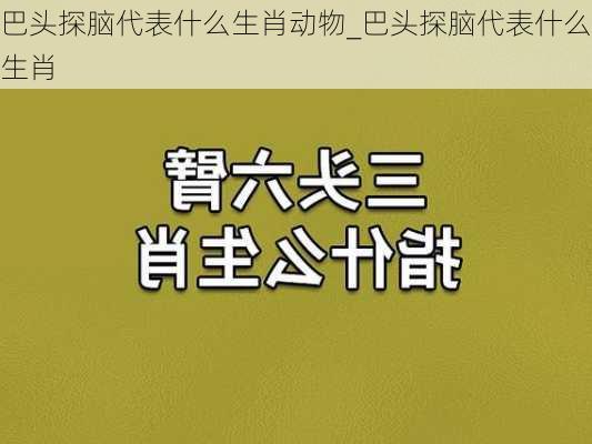 巴头探脑代表什么生肖动物_巴头探脑代表什么生肖