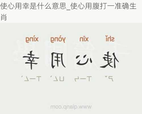 使心用幸是什么意思_使心用腹打一准确生肖