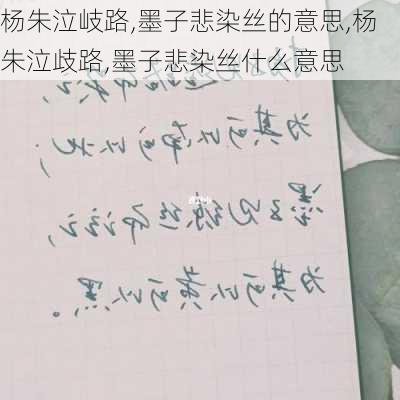 杨朱泣岐路,墨子悲染丝的意思,杨朱泣歧路,墨子悲染丝什么意思