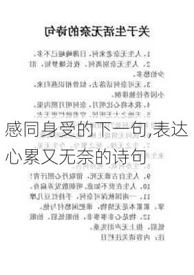 感同身受的下一句,表达心累又无奈的诗句