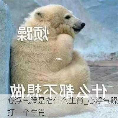 心浮气躁是指什么生肖_心浮气躁打一个生肖