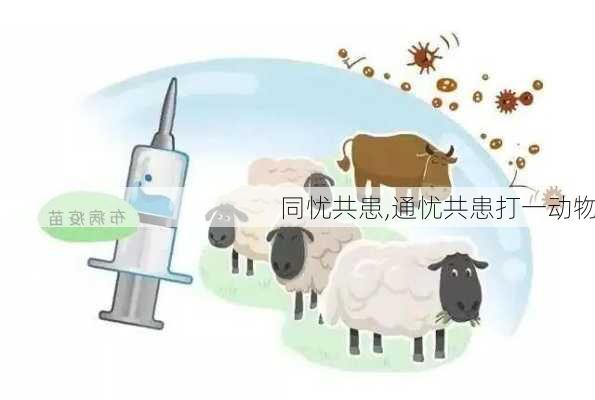 同忧共患,通忧共患打一动物