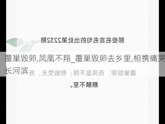 覆巢毁卵,凤凰不翔_覆巢毁卵去乡里,相携痛哭长河滨