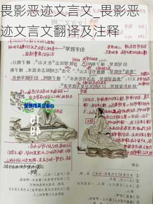 畏影恶迹文言文_畏影恶迹文言文翻译及注释