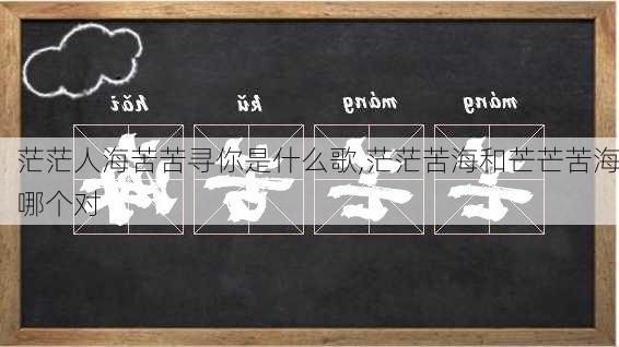 茫茫人海苦苦寻你是什么歌,茫茫苦海和芒芒苦海哪个对