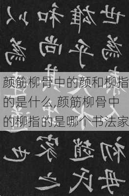 颜筋柳骨中的颜和柳指的是什么,颜筋柳骨中的柳指的是哪个书法家