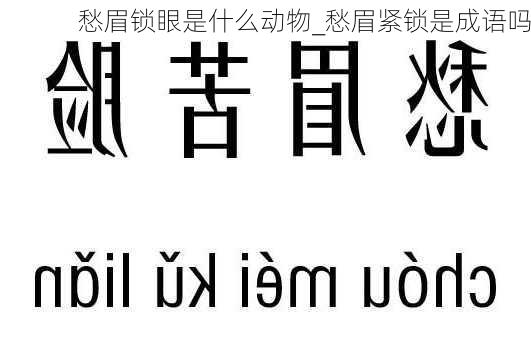 愁眉锁眼是什么动物_愁眉紧锁是成语吗