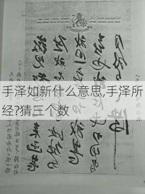 手泽如新什么意思,手泽所经?猜三个数