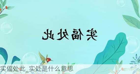 实偪处此_实处是什么意思