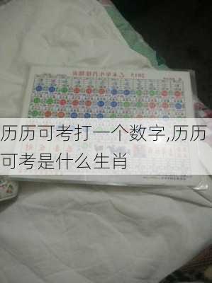 历历可考打一个数字,历历可考是什么生肖