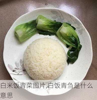 白米饭青菜图片,白饭青刍是什么意思