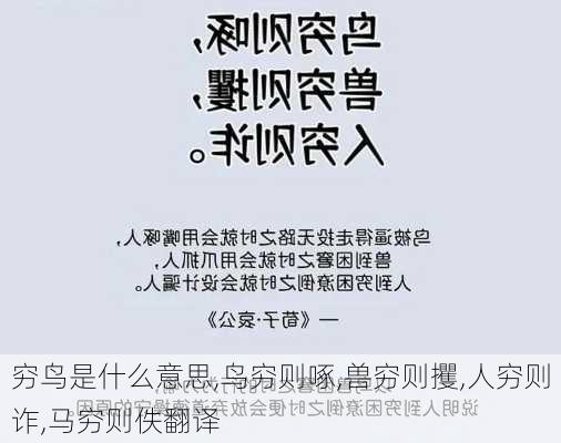 穷鸟是什么意思,鸟穷则啄,兽穷则攫,人穷则诈,马穷则佚翻译