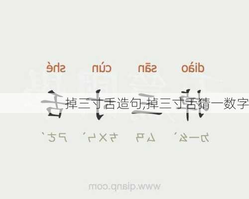 掉三寸舌造句,掉三寸舌猜一数字