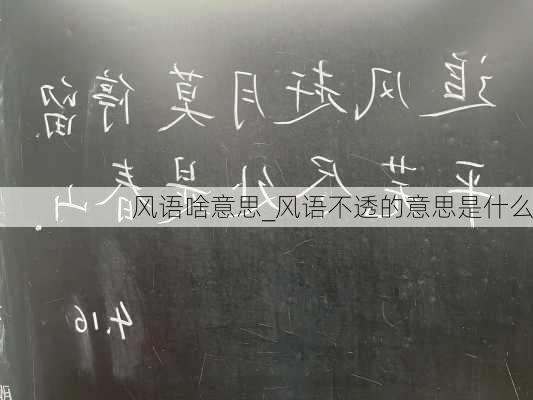 风语啥意思_风语不透的意思是什么